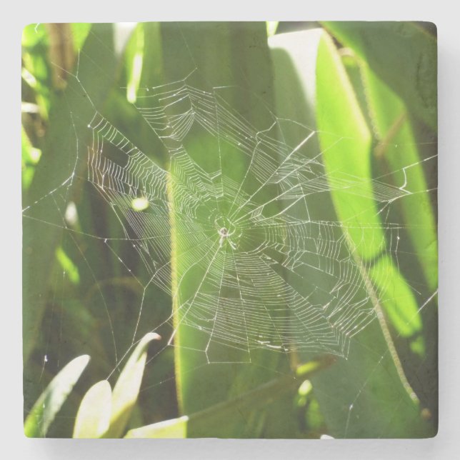 Spiderweb in Tropical Leaves Nature Stone Coaster (Front)