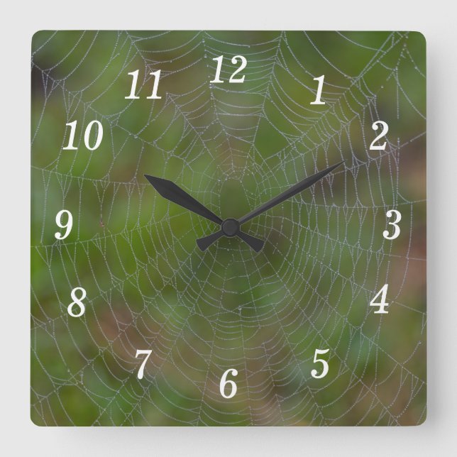 Spiderweb With Droplets Wall Clock (Front)