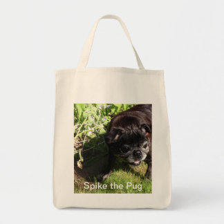 Spike Bag