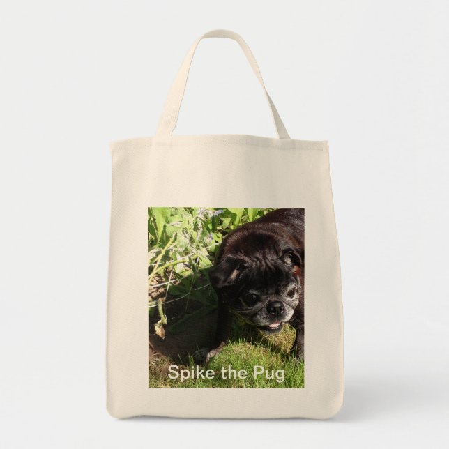 Spike Bag (Front)