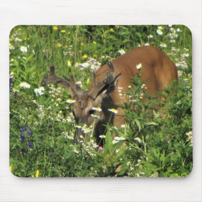 Spike Buck Browsing the Spring Gardens Mouse Mat (Front)
