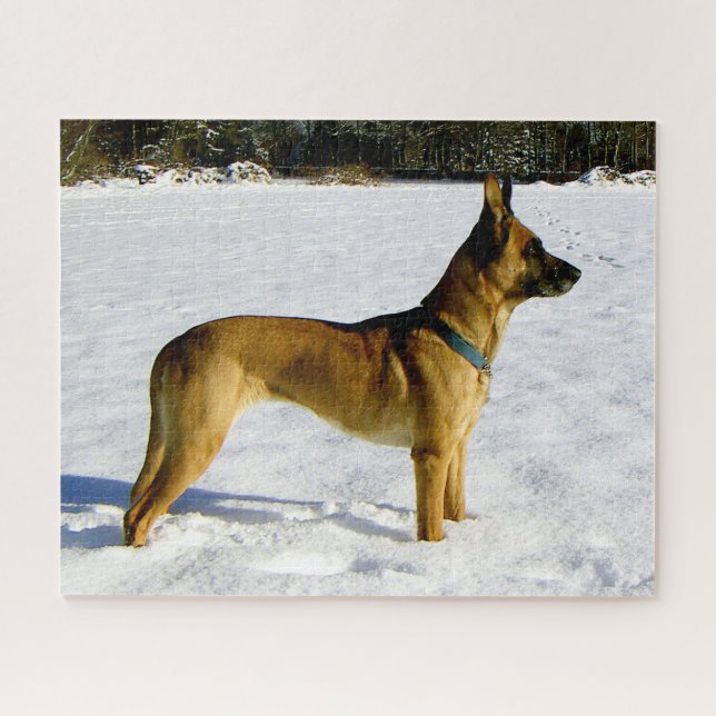 Spike in the snow jigsaw puzzle (Horizontal)