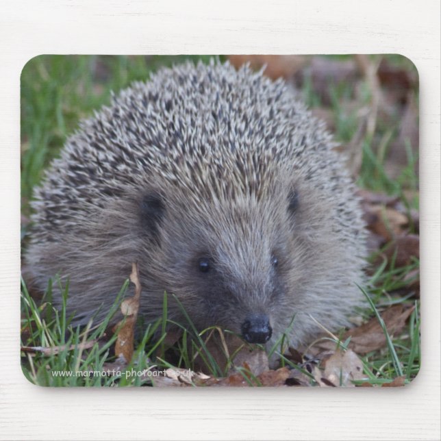 Spike Mousemat (Front)