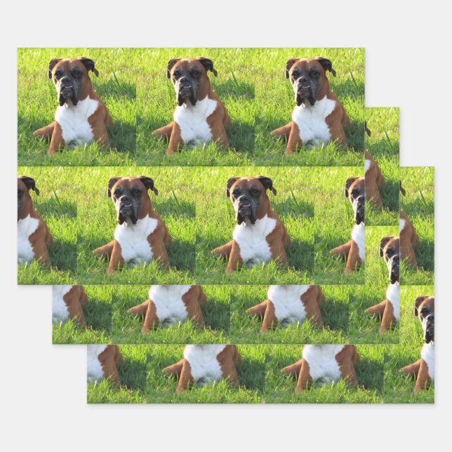 Spike the Boxer - Dog Wrapping Paper Sheets (Set)