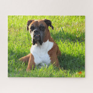 Spike the Boxer  - Puzzle