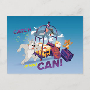 Spike, Tom & Jerry - Catch Me If You Can Postcard