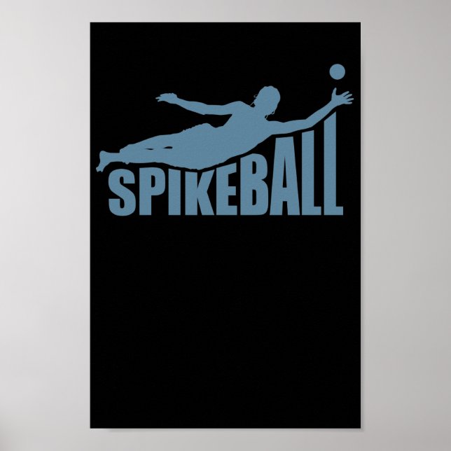 Spikeball Ballsport Freizeit Roundball Poster (Front)
