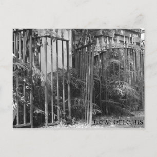 Spiked Fence Postcard