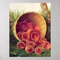 Spilled Peaches