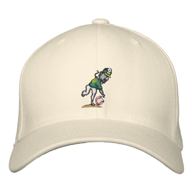 Spin Doctor Team Hat (Front)