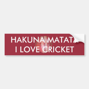 Spin Master's Sphere: A Fun Left Spin Cricket Ball Bumper Sticker