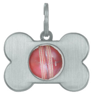 Spin Master's Sphere: A Fun Left Spin Cricket Ball Pet Name Tag