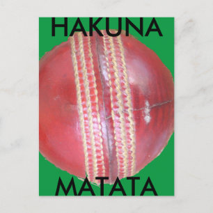 Spin Master's Sphere: A Fun Left Spin Cricket Ball Postcard