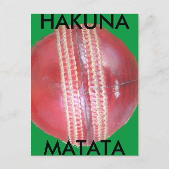 Spin Master's Sphere: A Fun Left Spin Cricket Ball Postcard (Front)