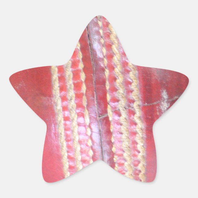 Spin Master's Sphere: A Fun Left Spin Cricket Ball Star Sticker (Front)