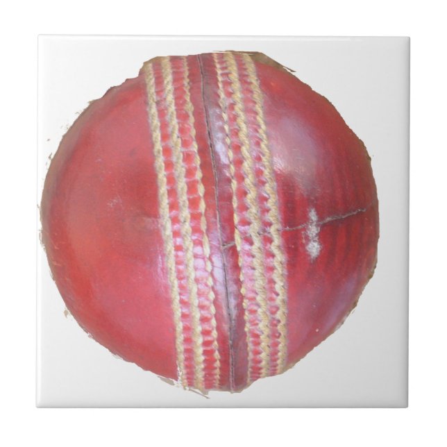 Spin Master's Sphere: A Fun Left Spin Cricket Ball Tile (Front)