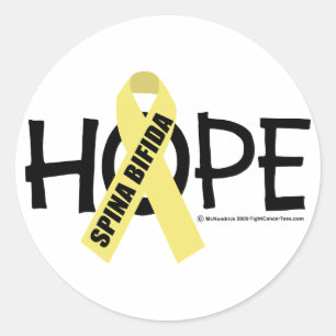 Spina Bifida Hope Classic Round Sticker