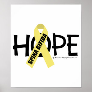 Spina Bifida Hope Poster
