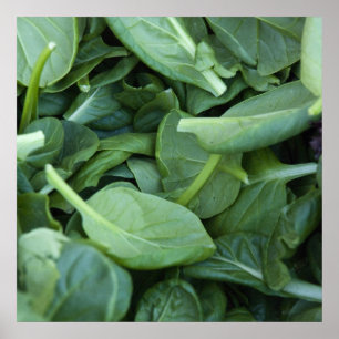 Spinach Leaves Poster