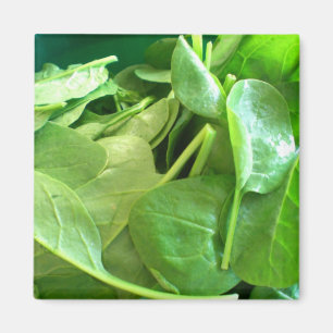 Spinach Magnet