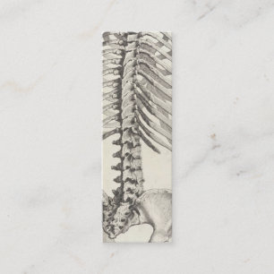 Spinal business card