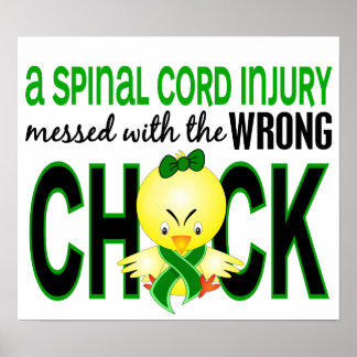 Spinal Cord Injury Messed With Wrong Chick Poster