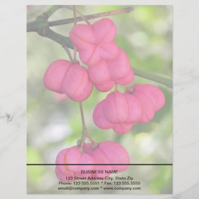Spindle berries pink custom letterhead (Front)