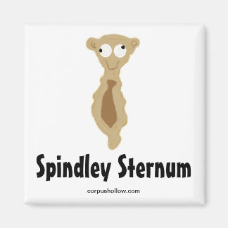 Spindley Sternum Magnet