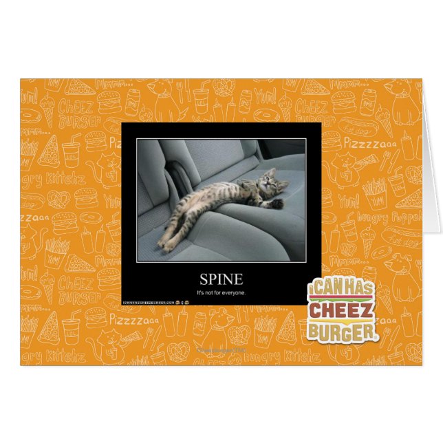 Spine (Front Horizontal)