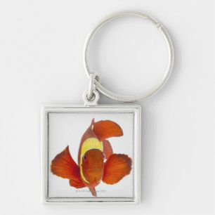 Spine-cheek anemonefish (Premnas biaculeatus) Key Ring