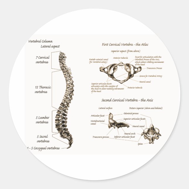 Spine Classic Round Sticker (Front)