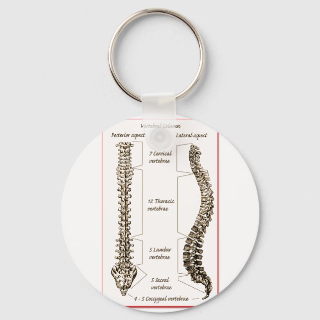 Spine Details Sepia2 Key Ring (Front)