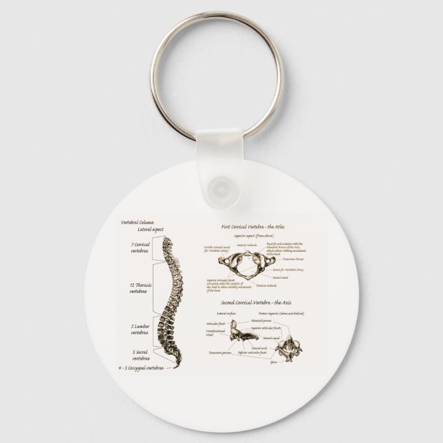 Spine Details Sepia Key Ring (Front)