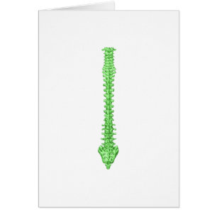 Spine Green