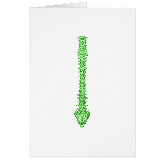 Spine Green (Front)