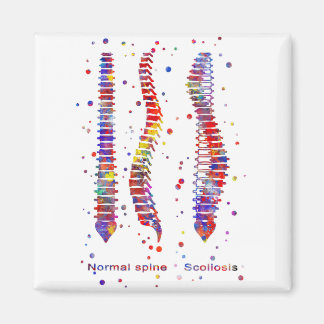 Spine Magnet
