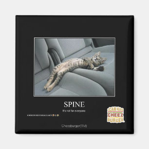 Spine Magnet