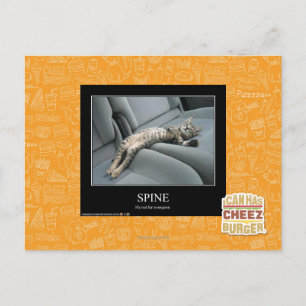 Spine Postcard