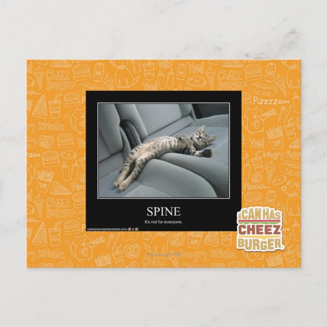 Spine Postcard (Front)