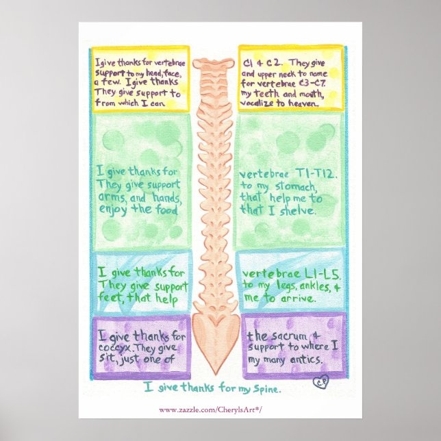 Spine Poster - I give thanks for vertebrae (Front)