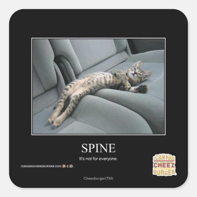 Spine Square Sticker (Front)