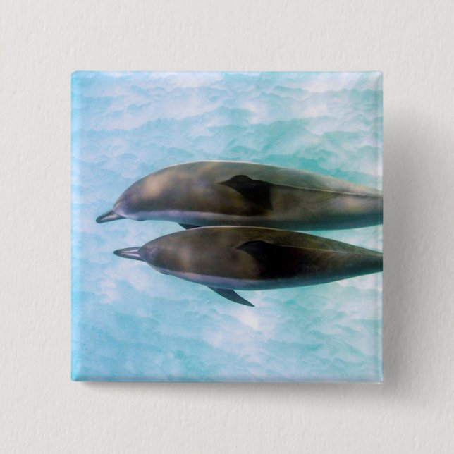 Spinner Dolphins | Oahu Hawaii 15 Cm Square Badge (Front)
