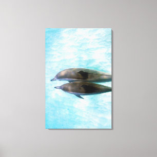 Spinner Dolphins   Oahu Hawaii Canvas Print