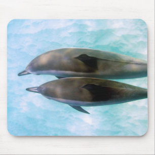 Spinner Dolphins Oahu Hawaii Mouse Mat