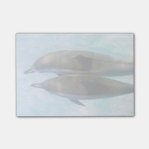 Spinner Dolphins Oahu Hawaii Post-it Notes