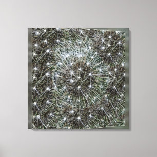 Spinning dandelion puff canvas print