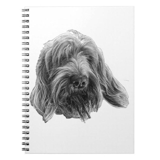 Spinone Field Notes Notebook (Front)