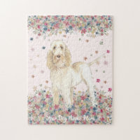 Spinone Italian Griffon