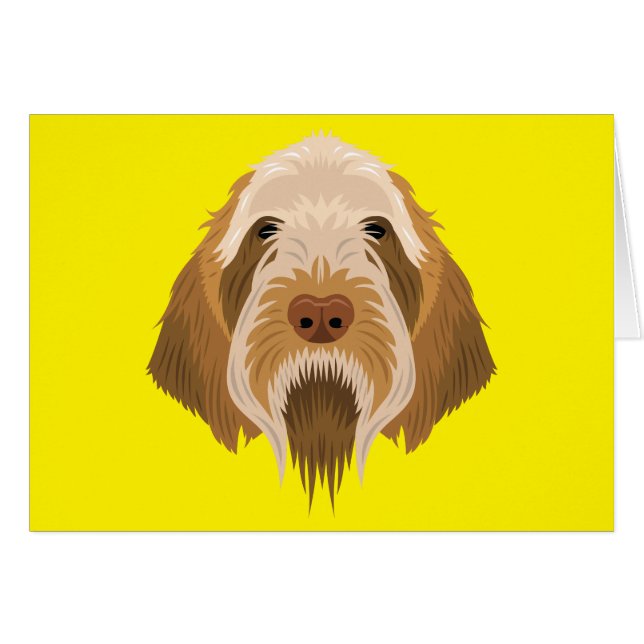 Spinone Italiano (Front Horizontal)