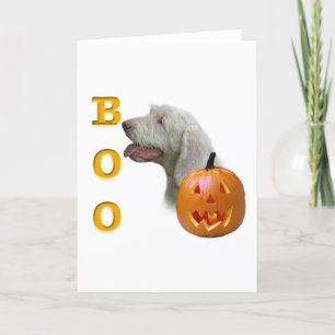 Spinone Italiano Boo Card